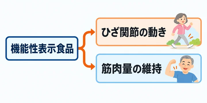 選び方②の小図