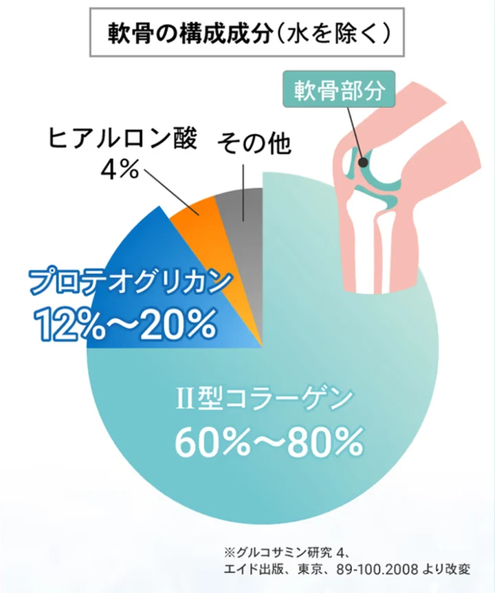 軟骨の構成成分(水を除く)=Ⅱ型コラーゲン60%〜80%・プロテオグリカン12%〜20%